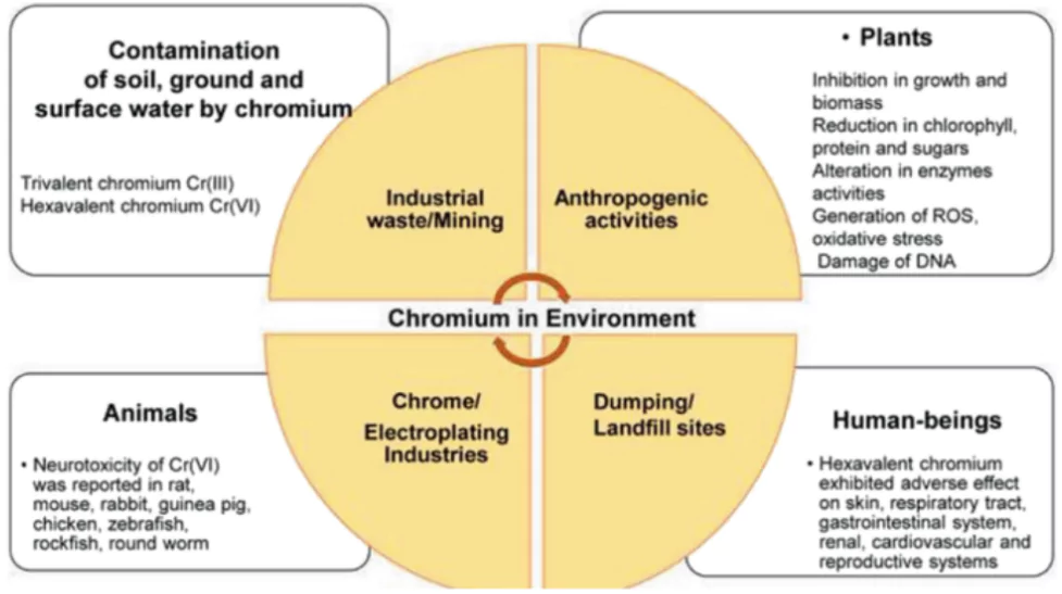 Chromium