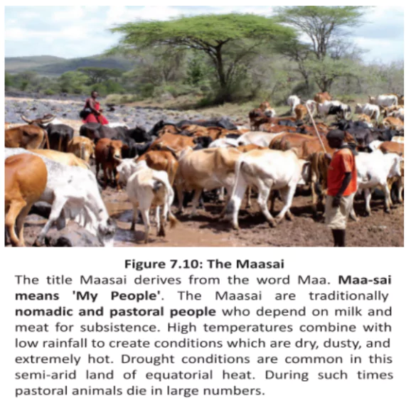 Pastoralism in Africa
