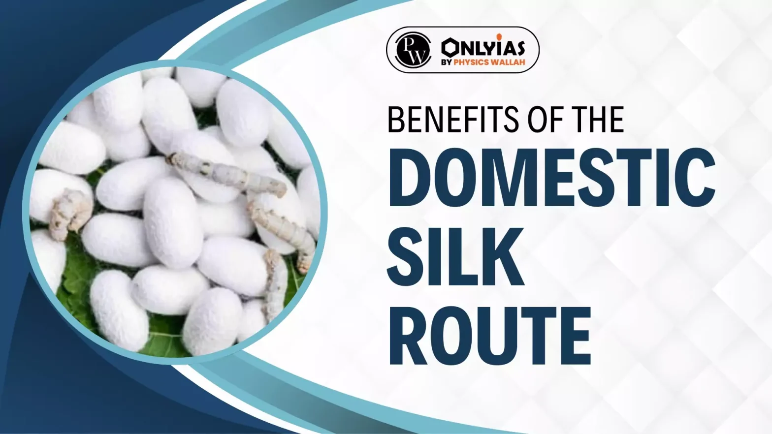 Benefits Of The Domestic Silk Route