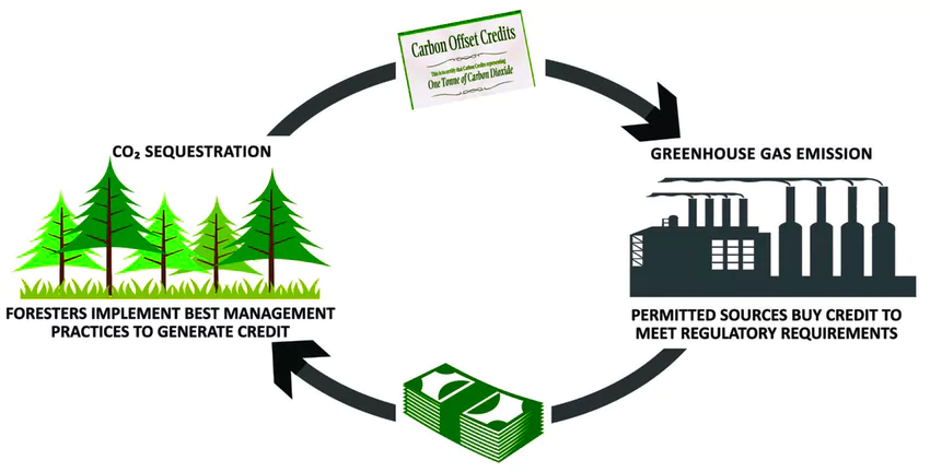 carbon credit