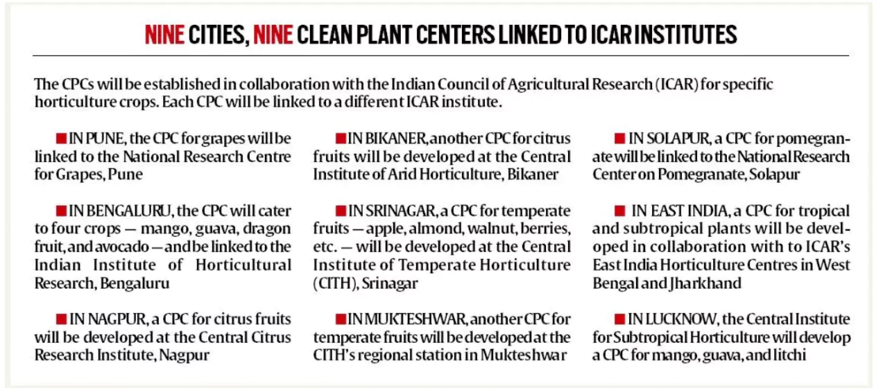 Clean Plant Programme