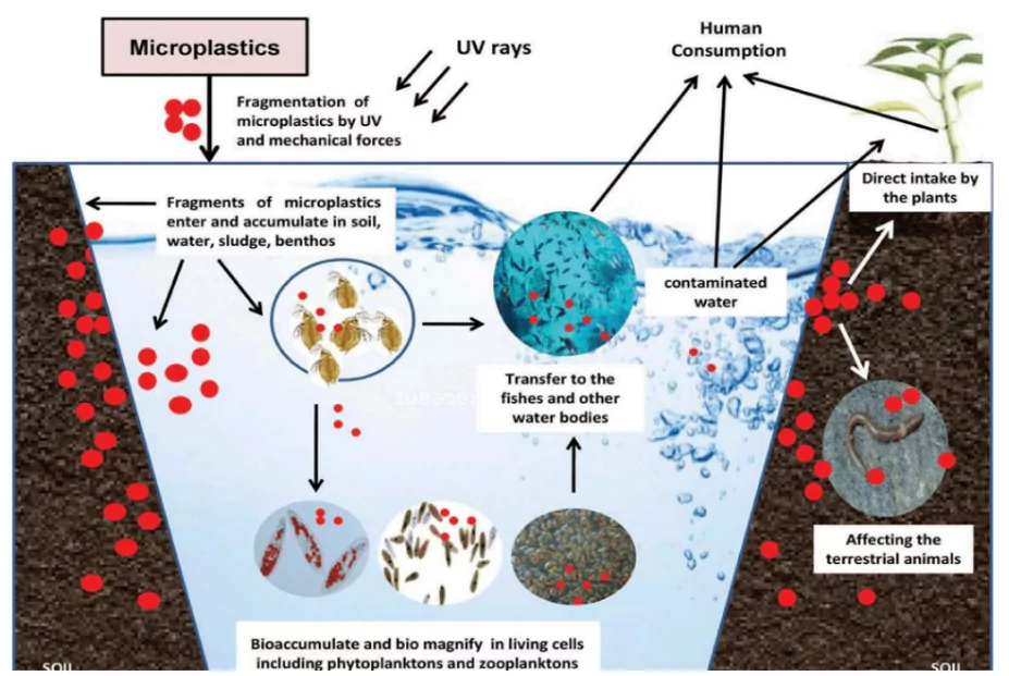 Microplastic 