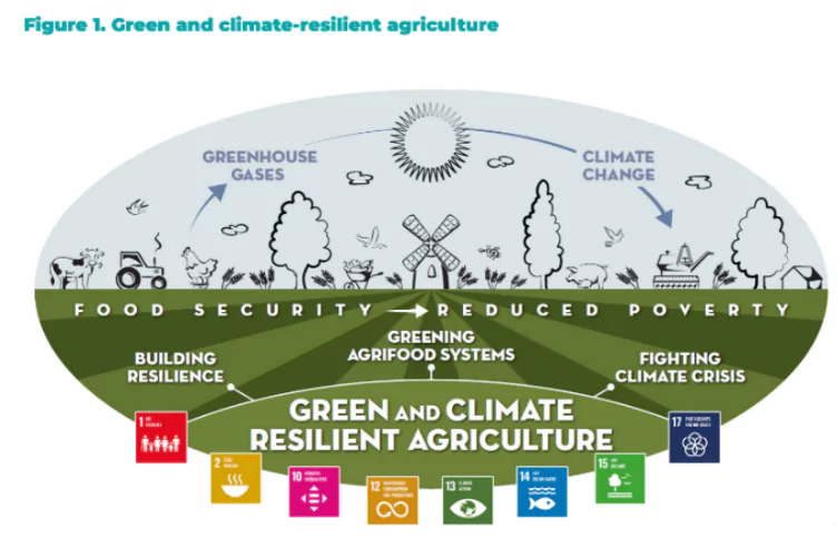 Adaptive Agriculture