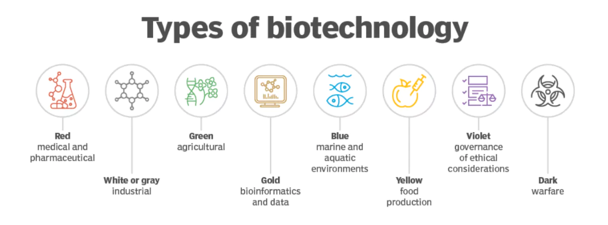 BioE3 Policy