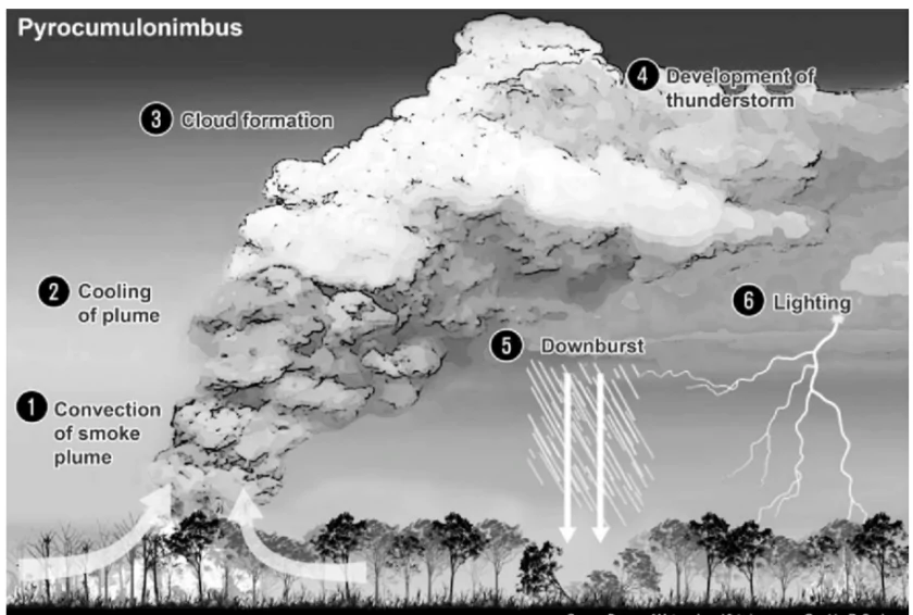 Pyrocumulonimbus Clouds