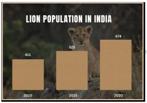 Lion Population in India