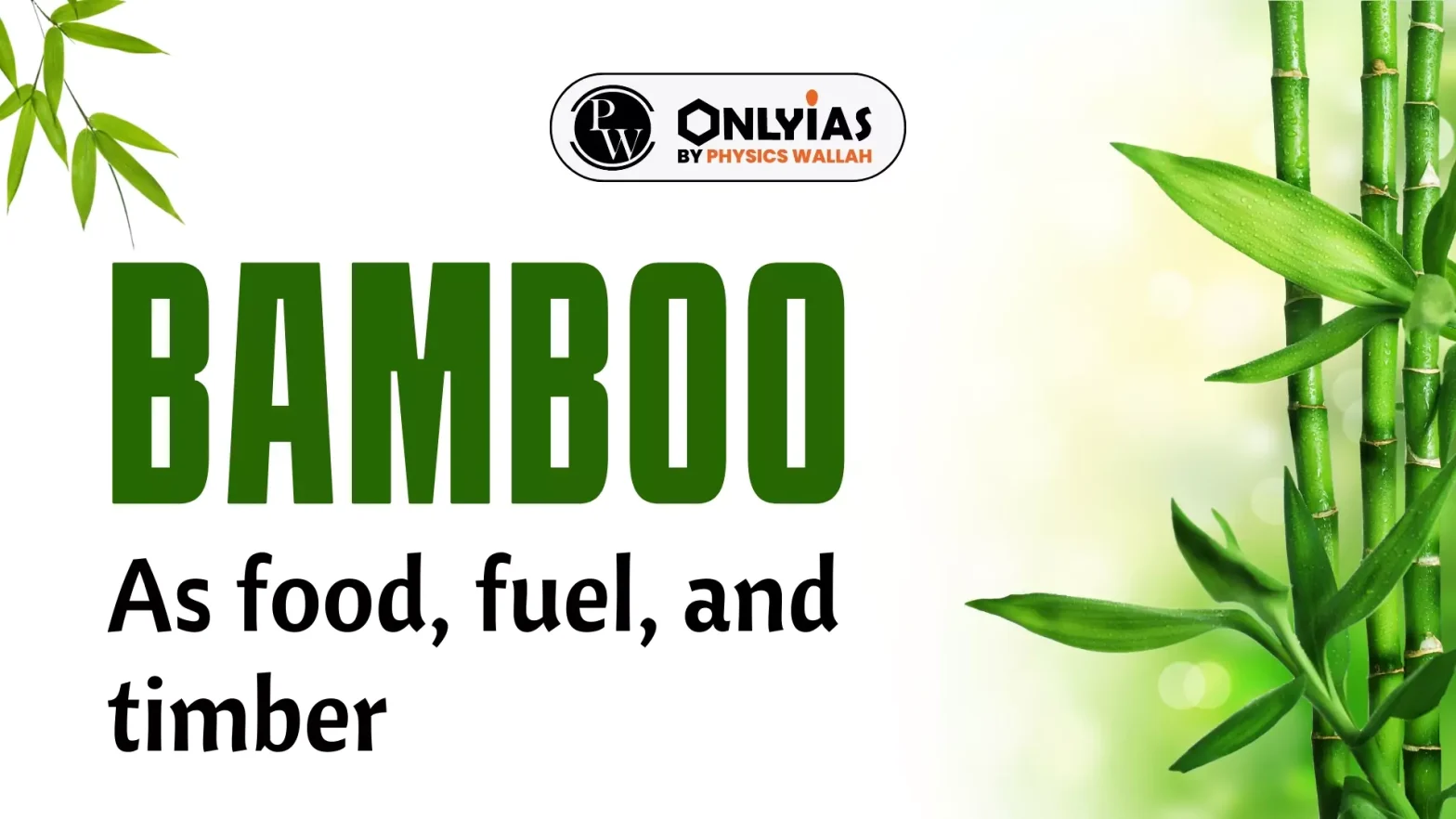 Bamboo As Food, Fuel, And Timber - PWOnlyIAS