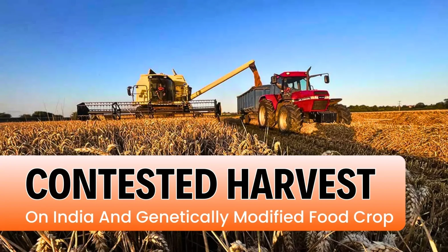 Contested Harvest: On India And Genetically Modified Food Crop