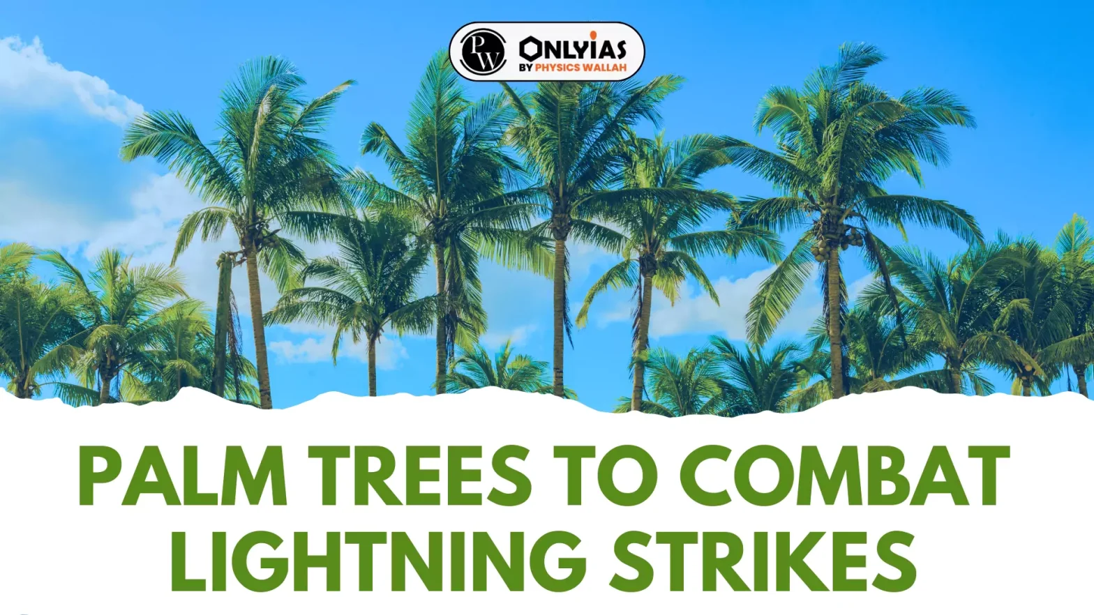 Palm Trees To Combat Lightning Strikes - PWOnlyIAS