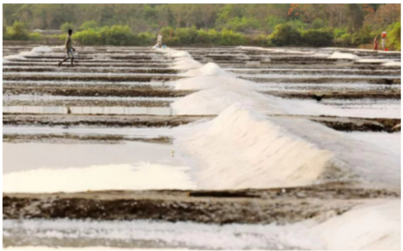 Salt Pans