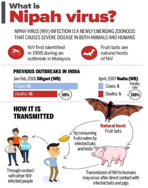 Nipah Virus