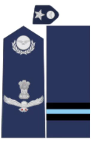 Indian Air Force Day 2024