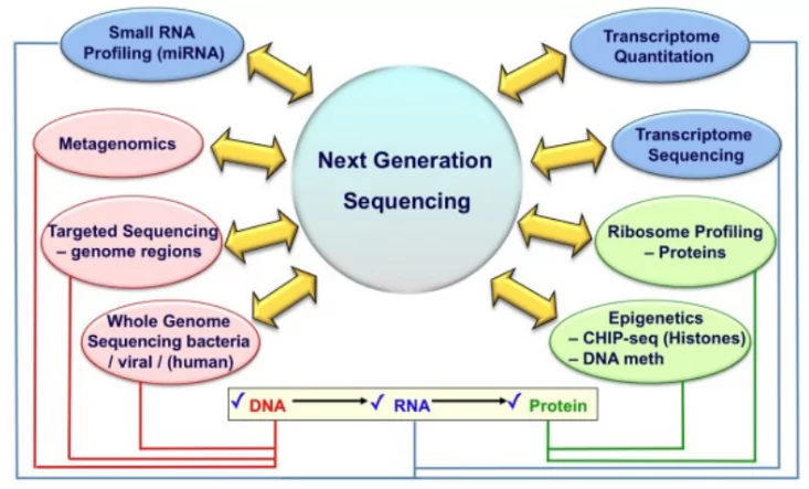 Next Generation Sequencing