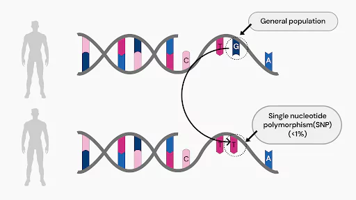 Next Generation Sequencing