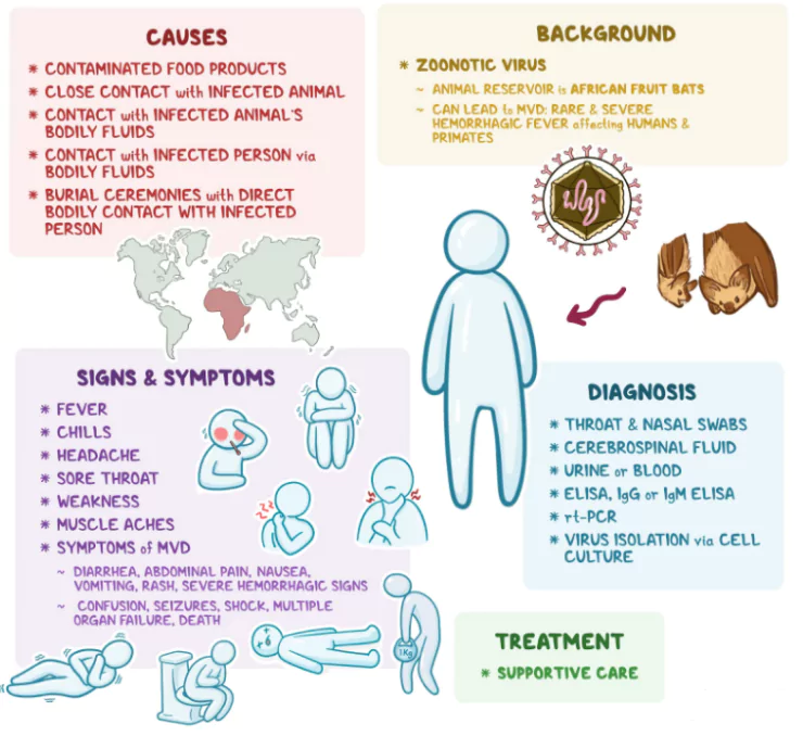 Marburg Viral Disease