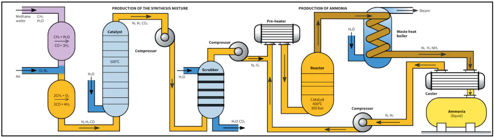 Haber-Bosch Process