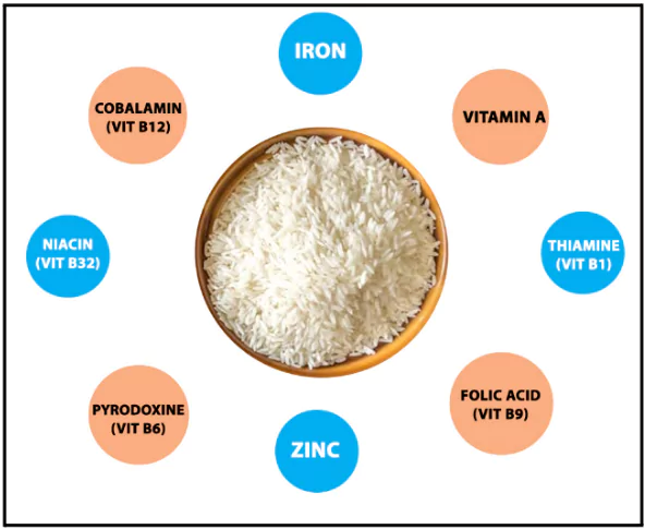 Fortified Rice