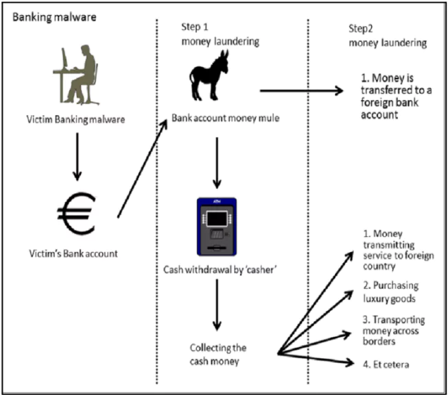 Cyber Fraud