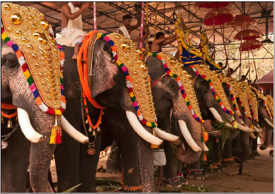 Thrissur Pooram Festival