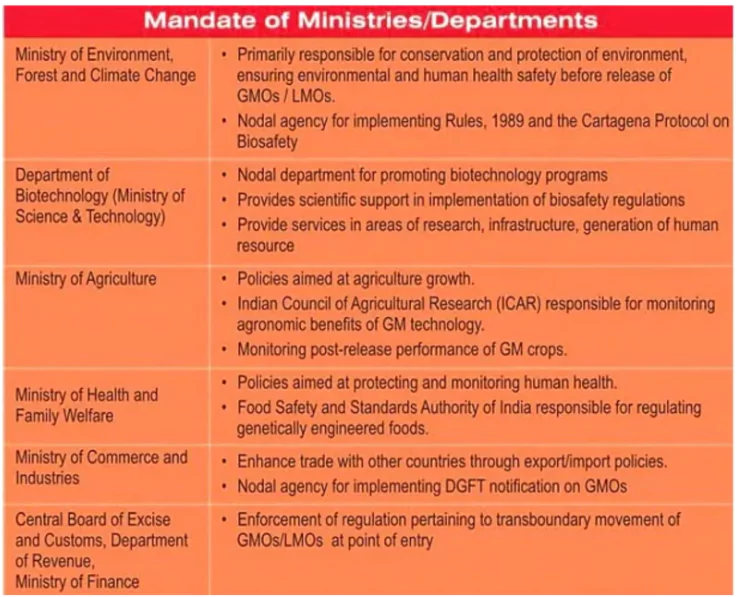 GM Crops