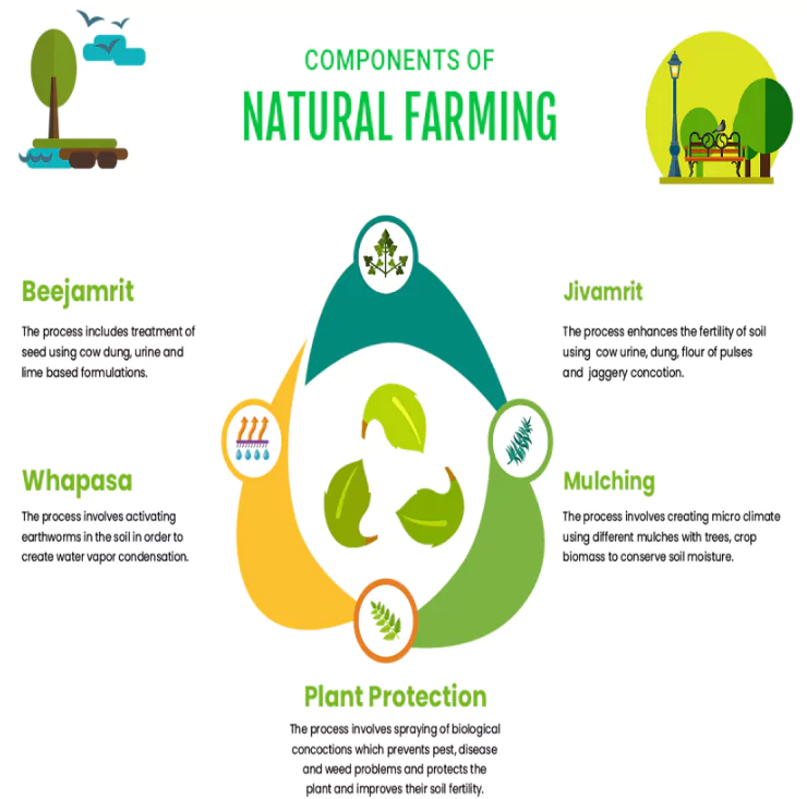 National Mission on Natural Farming