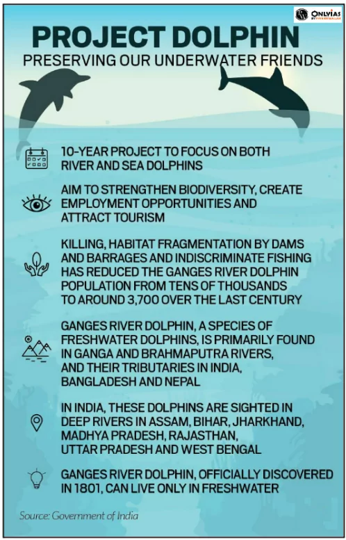 Ganges River Dolphin 