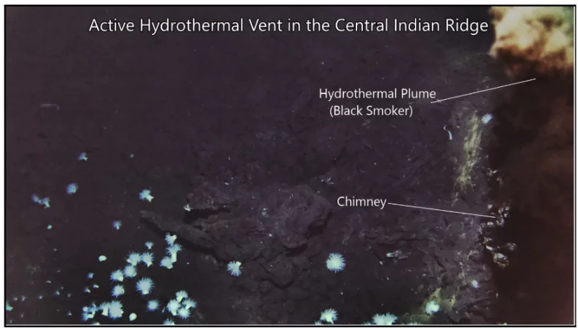 Hydrothermal Vent