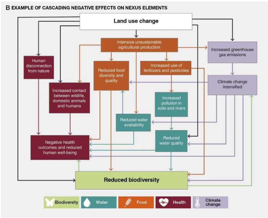 IPBES Reports