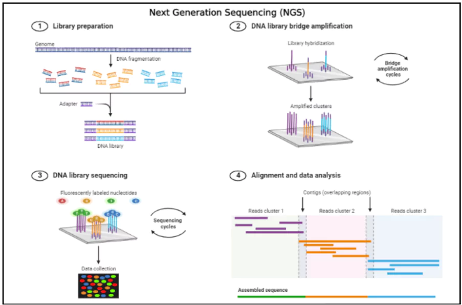 DNA Sequencing