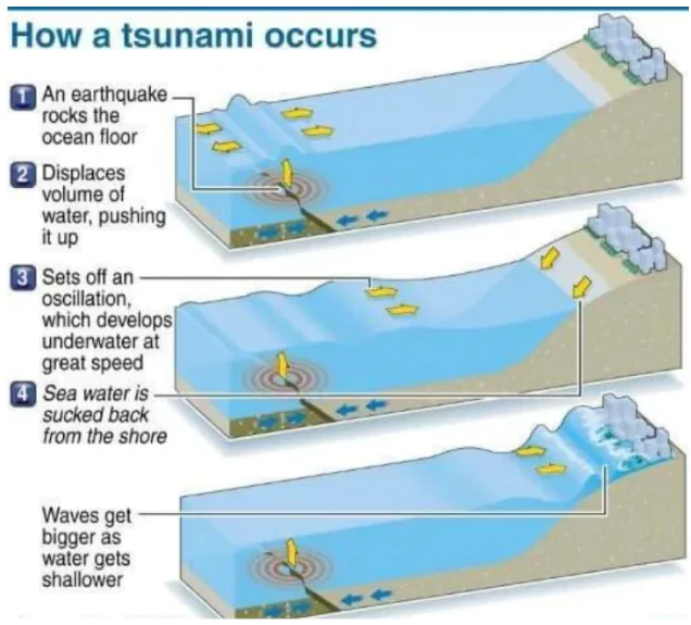 Indian Ocean Tsunami