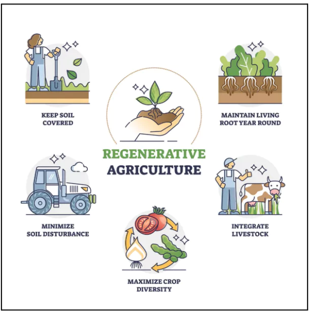 Regenerative Agriculture