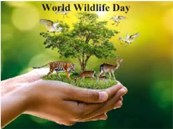 World Wildlife Conservation Day Protecting India's Critically