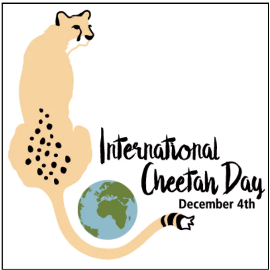 International Cheetah Day