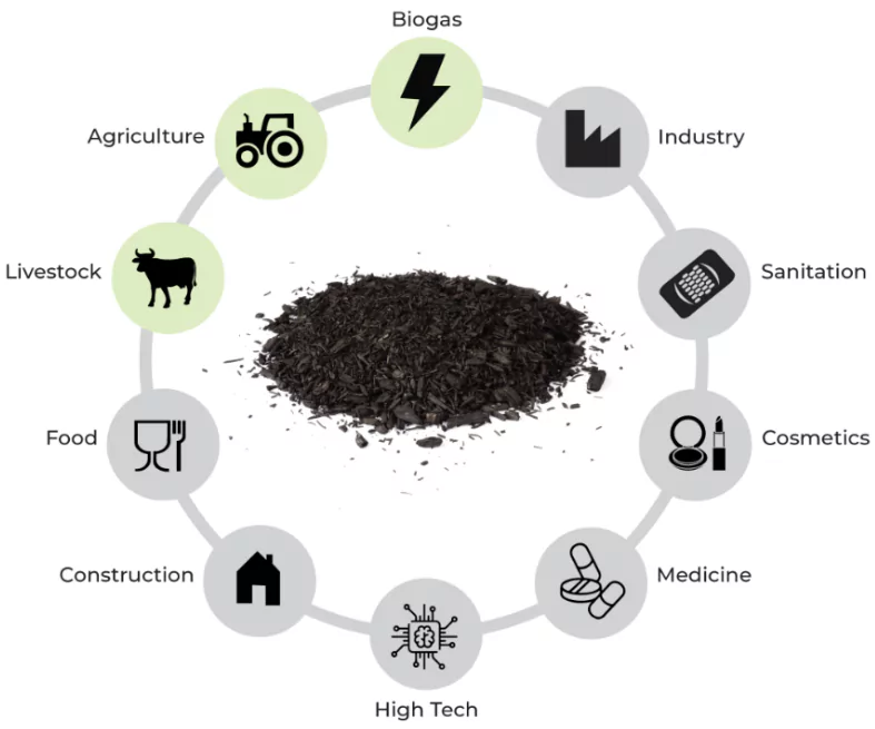 DDT-Contaminated Soil