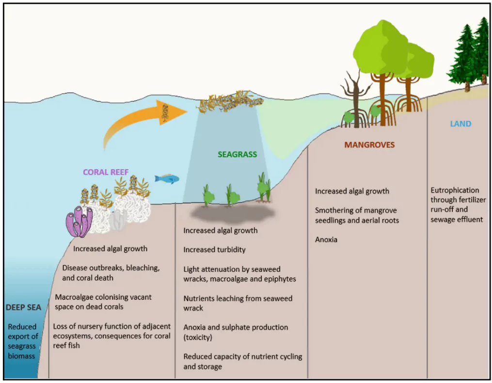 Algal Bloom Hotspots