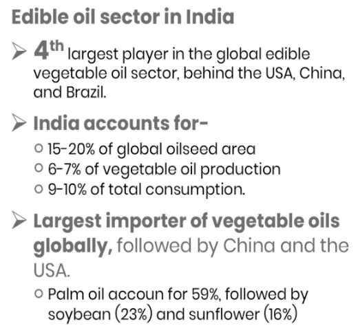 Palm Oil