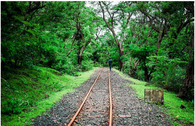 Aravali Safari Park Project