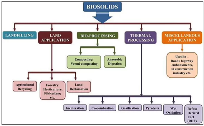 Biosolids