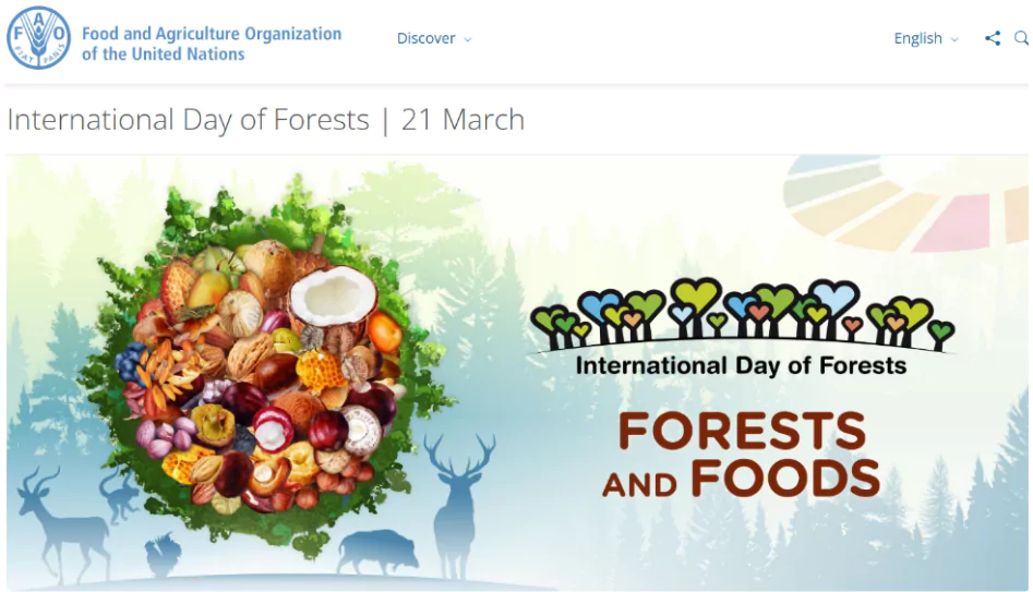 World Forestry Day