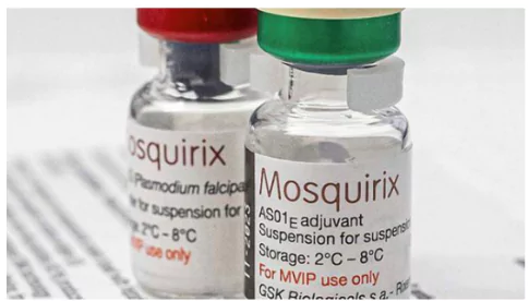 World Malaria Day