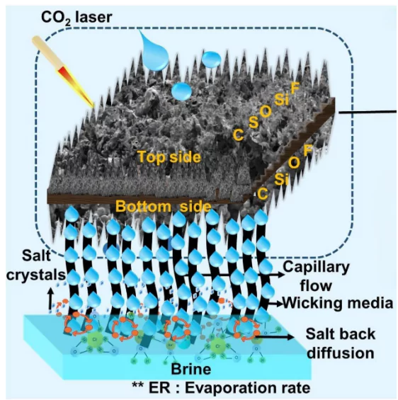 Graphene Solar Evaporator