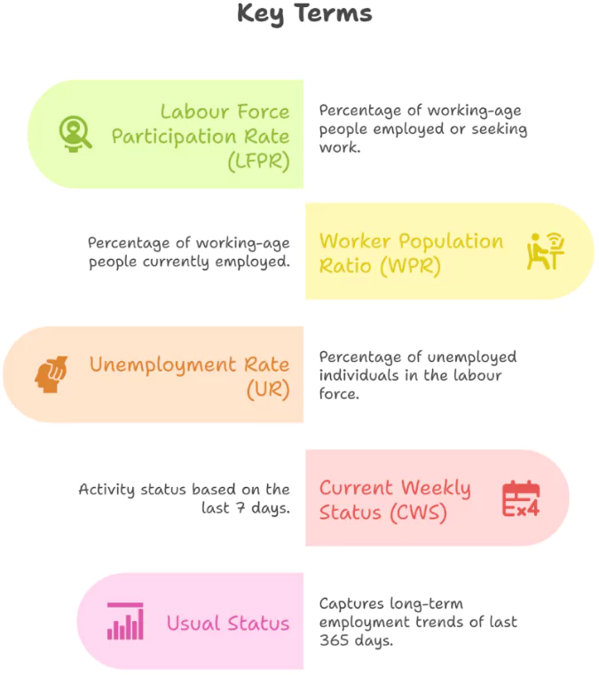 Periodic Labour Force Survey