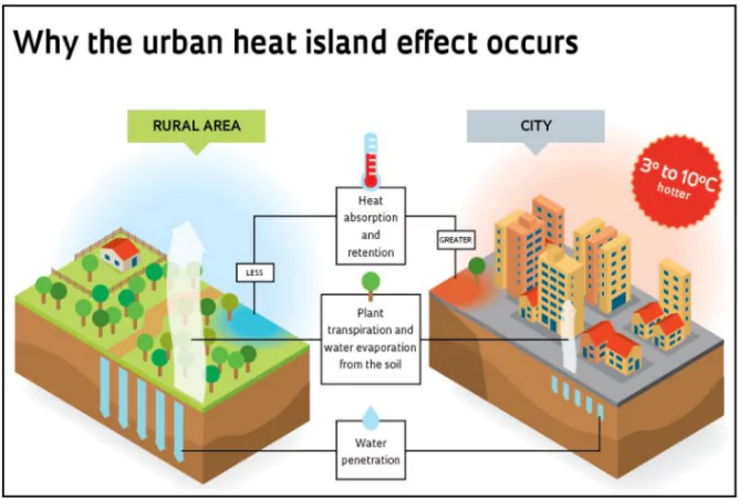 Urban Forests