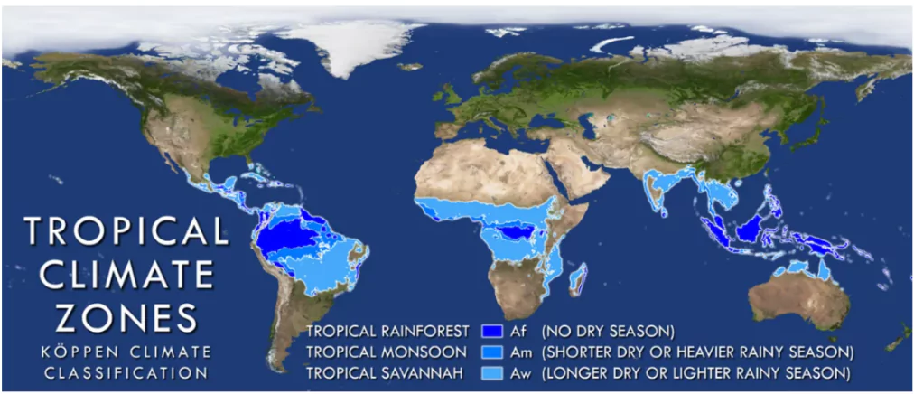 International Day of the Tropics