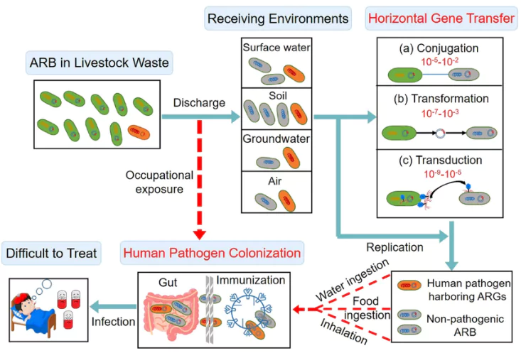 Antimicrobial Resistance