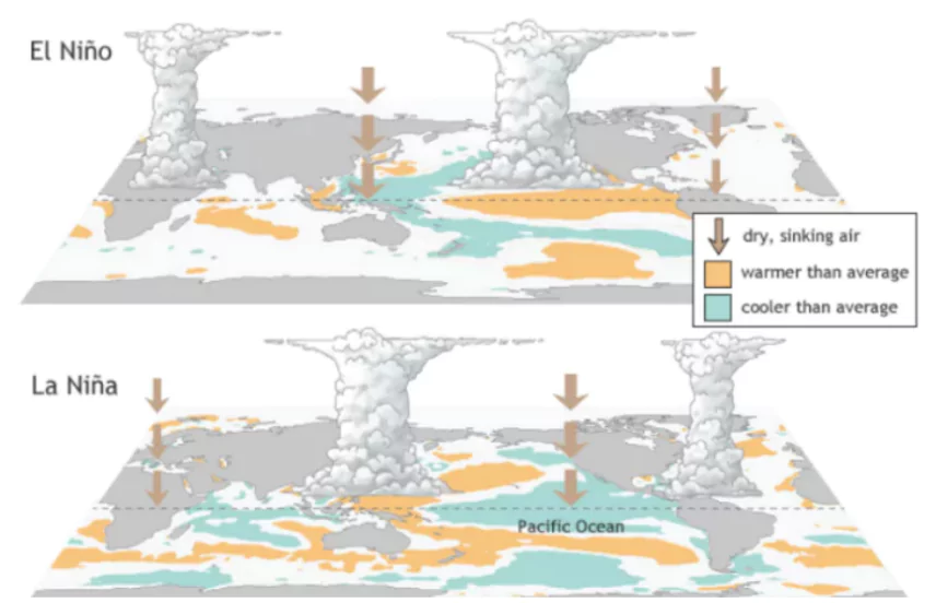 El Niño Prediction