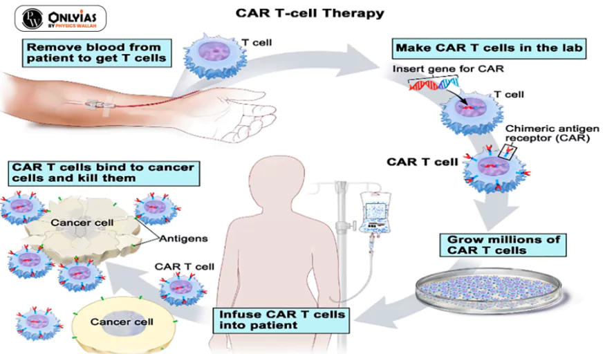 CAR T-cell Generation