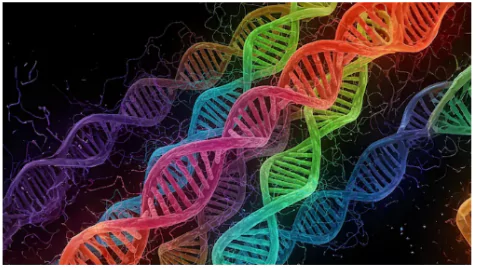 AlphaGenome