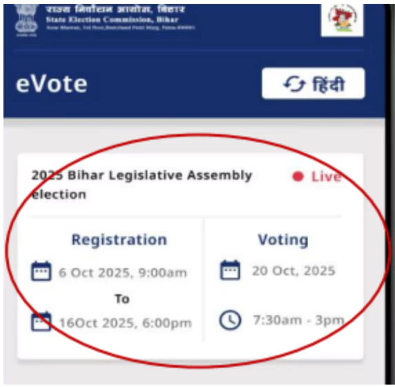 Mobile E-Voting