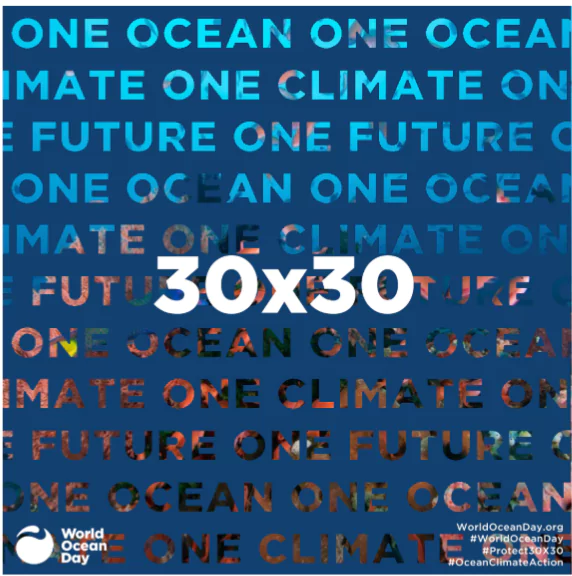 World Oceans Day